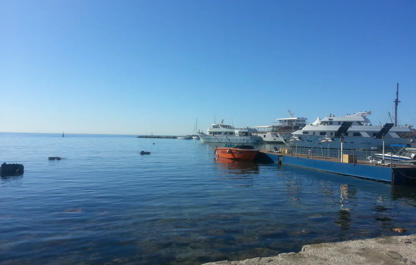 Photo wallpaper sea, yacht, port, Cyprus, Cyprus, Paphos