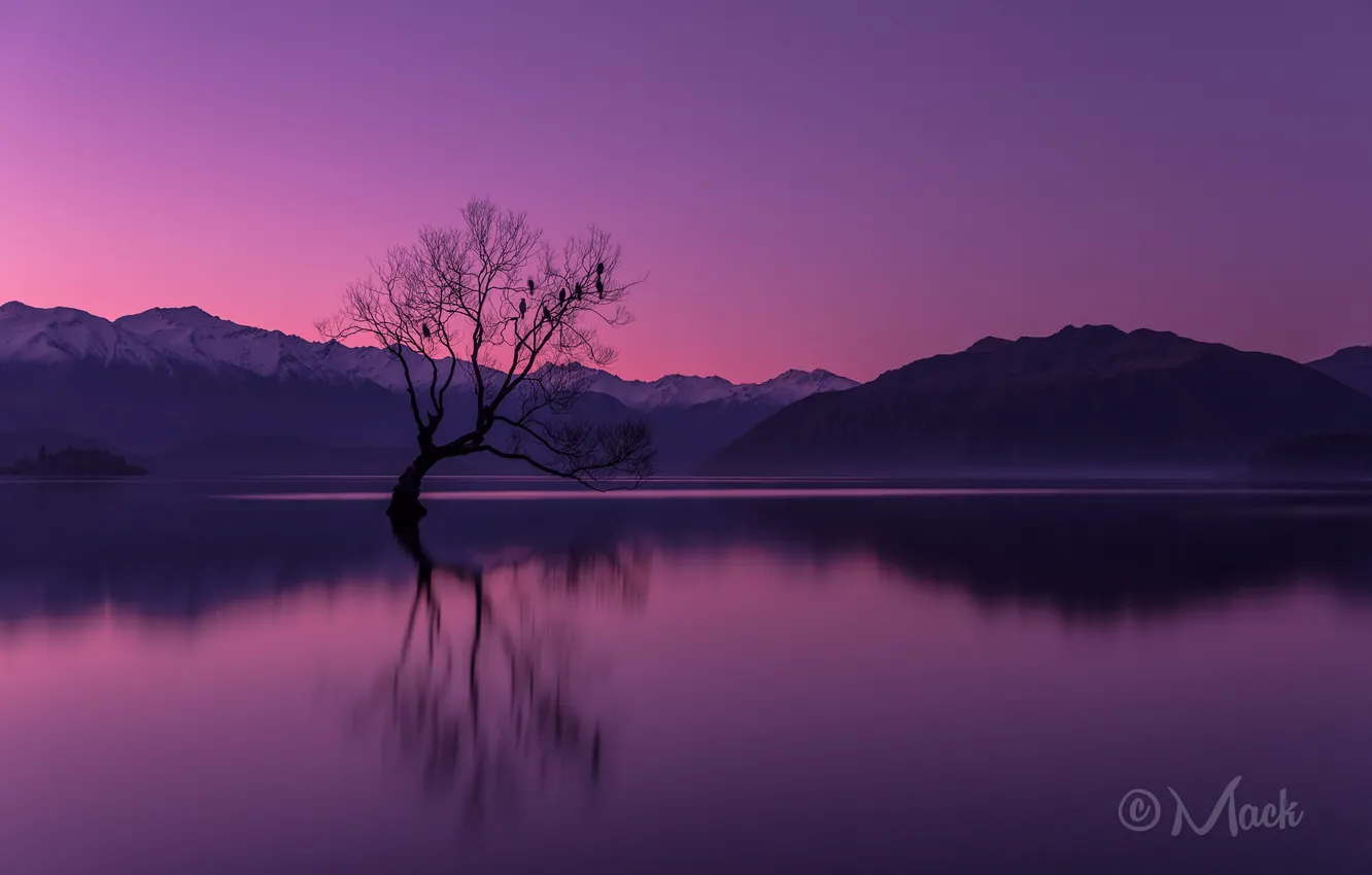 Photo wallpaper the sky, sunset, mountains, lake, reflection, tree, the evening, New Zealand