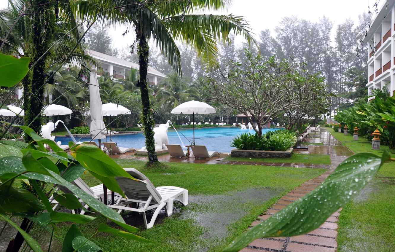 Photo wallpaper drops, palm trees, rain, pool, the hotel, Phuket, Thailand, Thailand