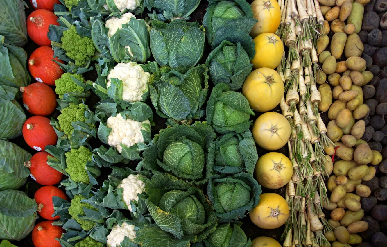 Photo wallpaper vegetables, different, a lot, cabbage, cuts