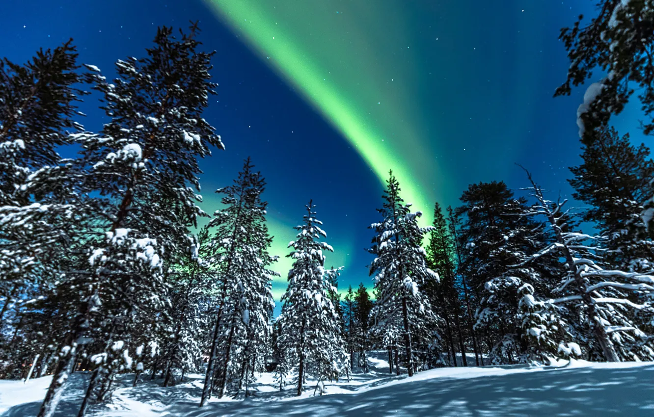 Photo wallpaper winter, forest, snow, trees, Northern lights, ate, Finland, Finland