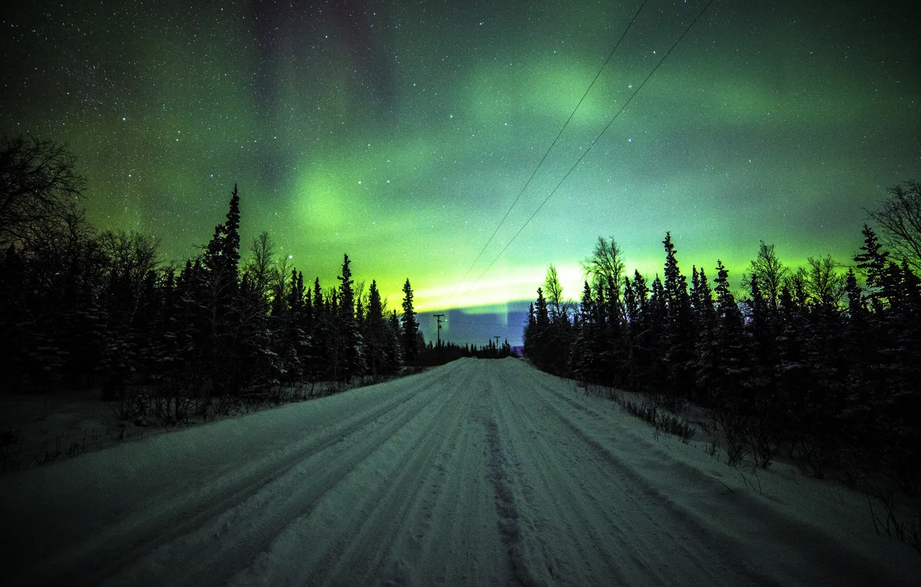 Photo wallpaper road, trees, Northern lights, pine, power lines