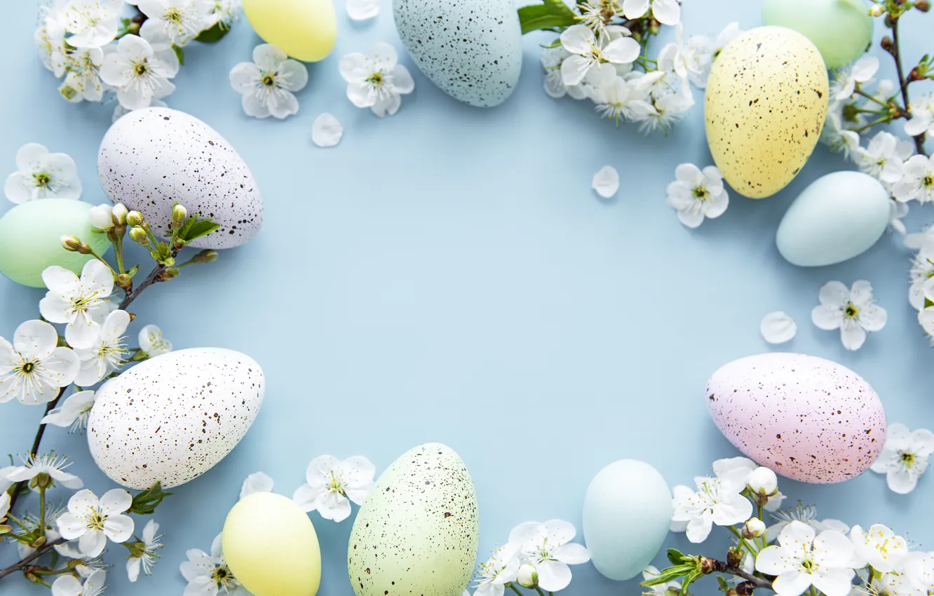Photo wallpaper flowers, eggs, spring, colorful, Easter, flowers, spring, Easter