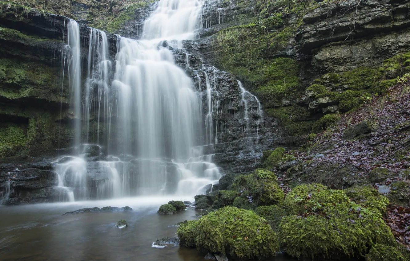 Photo wallpaper greens, water, rocks, waterfall