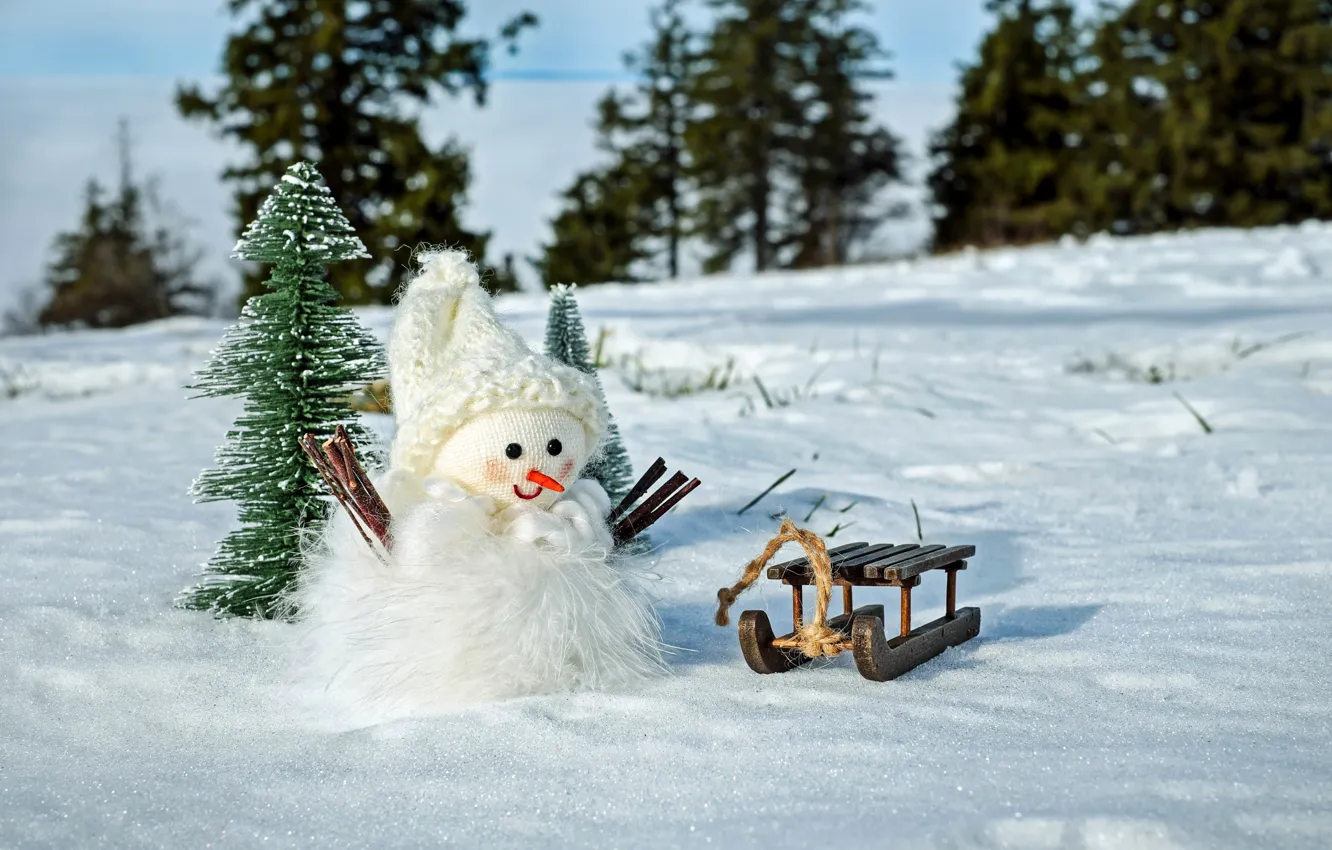 Photo wallpaper winter, forest, snow, branches, nature, holiday, hat, toy