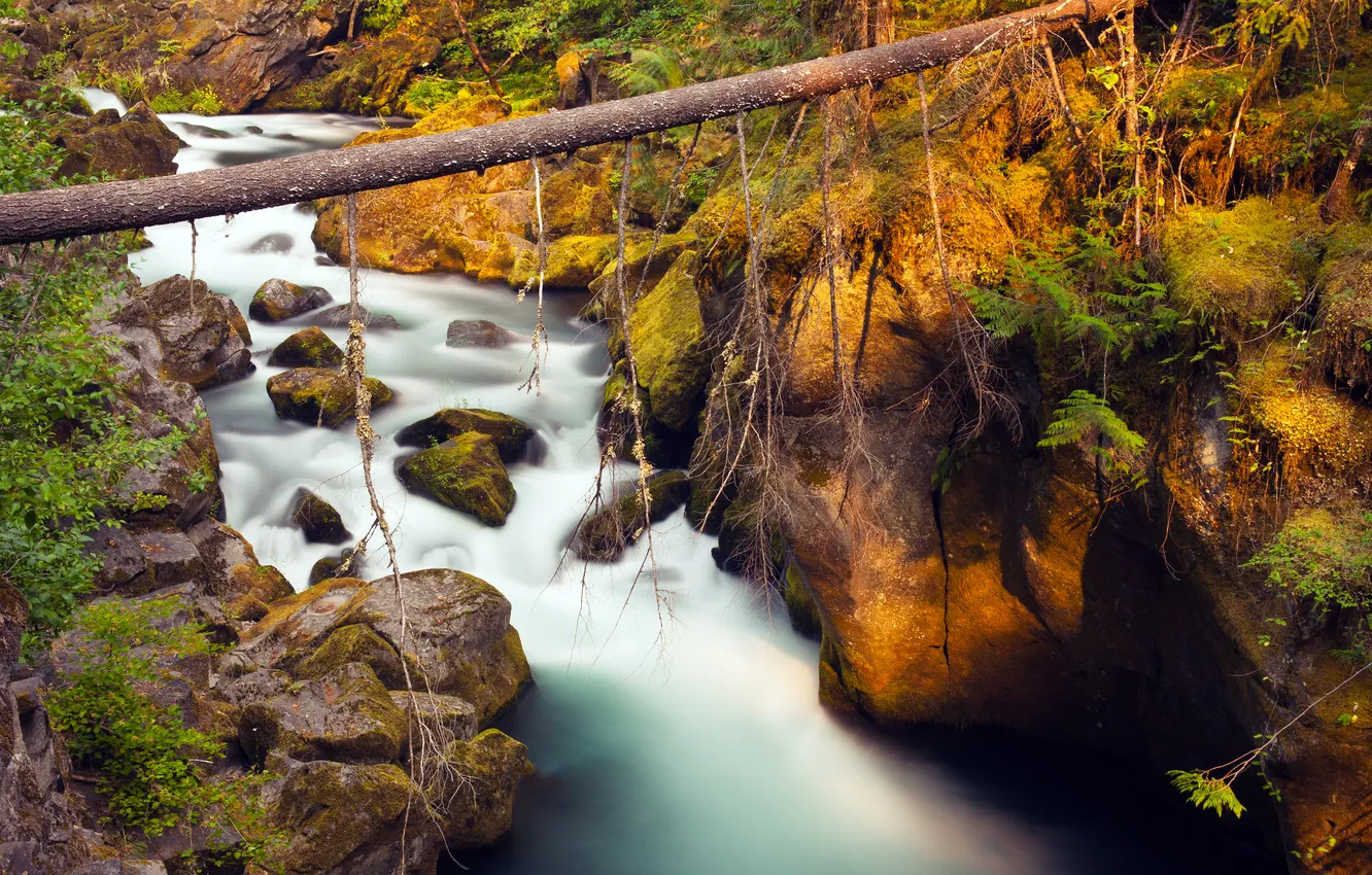 Photo wallpaper nature, river, stones, waterfall, moss, Toketee Falls