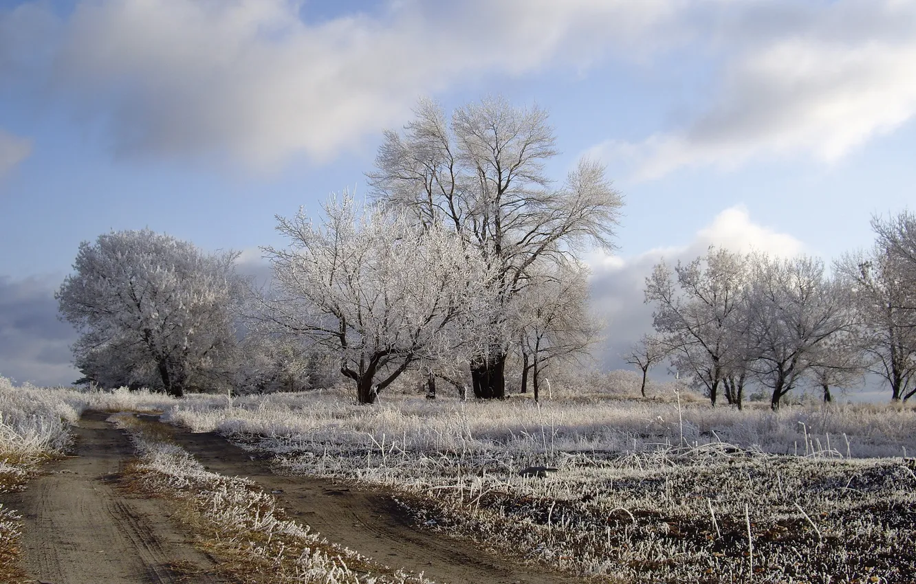 Photo wallpaper winter, road, field, trees