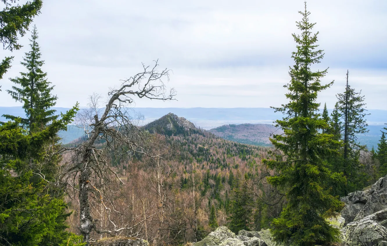 Photo wallpaper mountains, nature, Bashkiria, crimson mountain, spring, pine