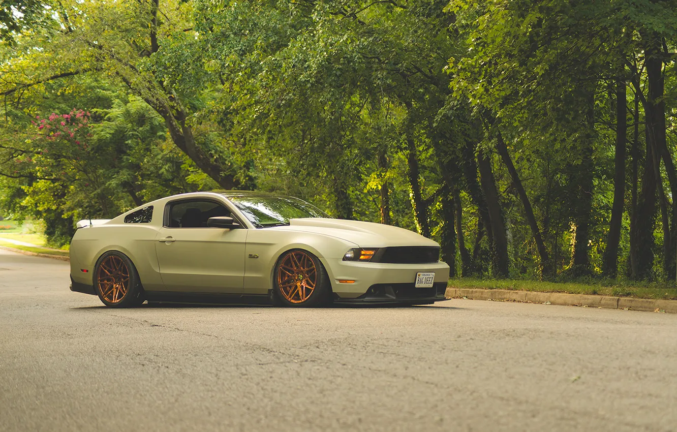 Photo wallpaper road, tuning, Mustang, ford, tuning, stance, 2013, swglob