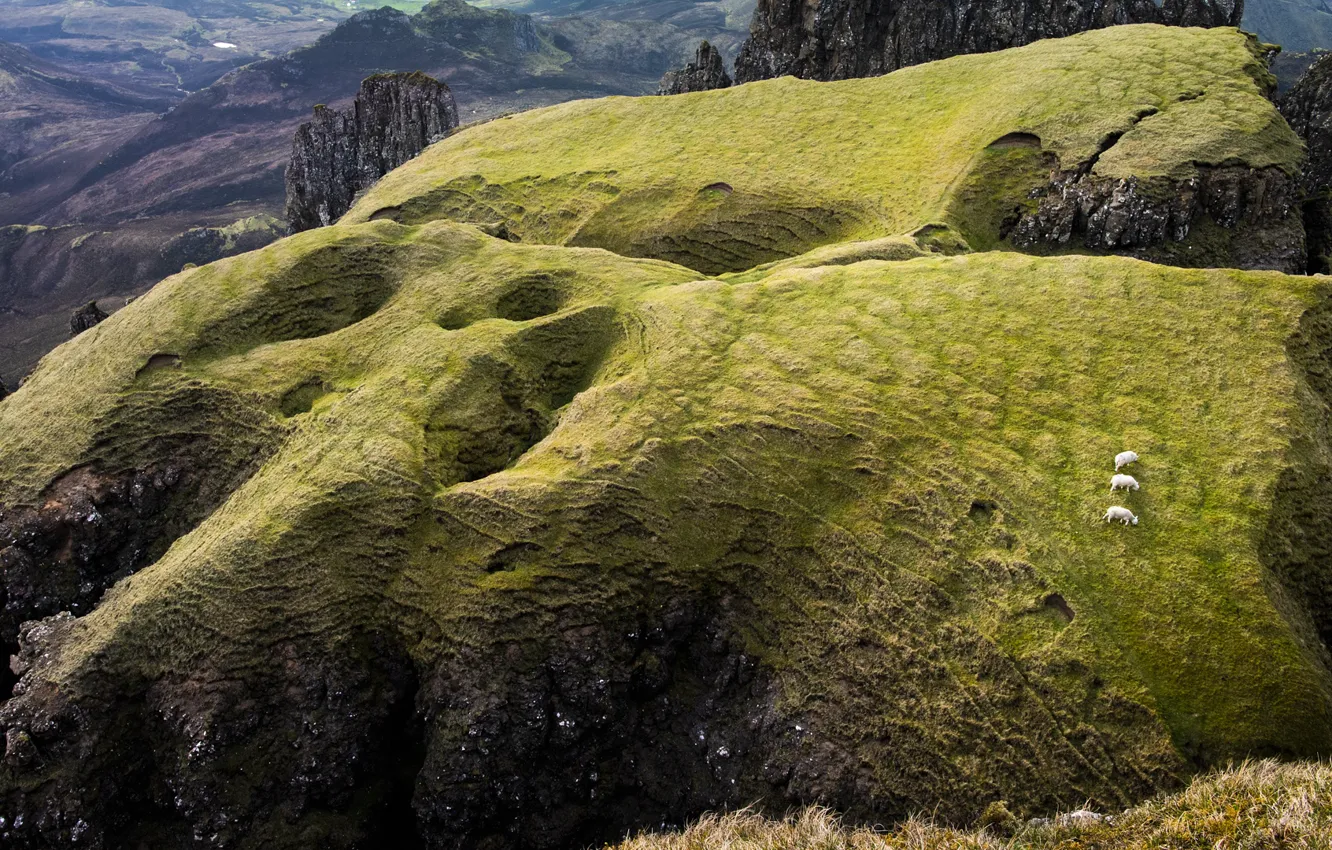 Photo wallpaper mountains, hills, sheep, slope