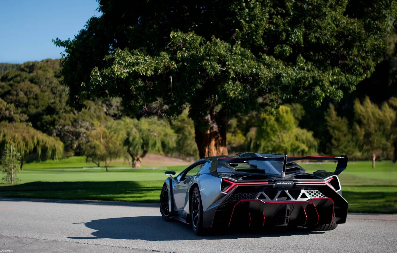 Photo wallpaper nature, Lamborghini, supercar, rear view, Veneno