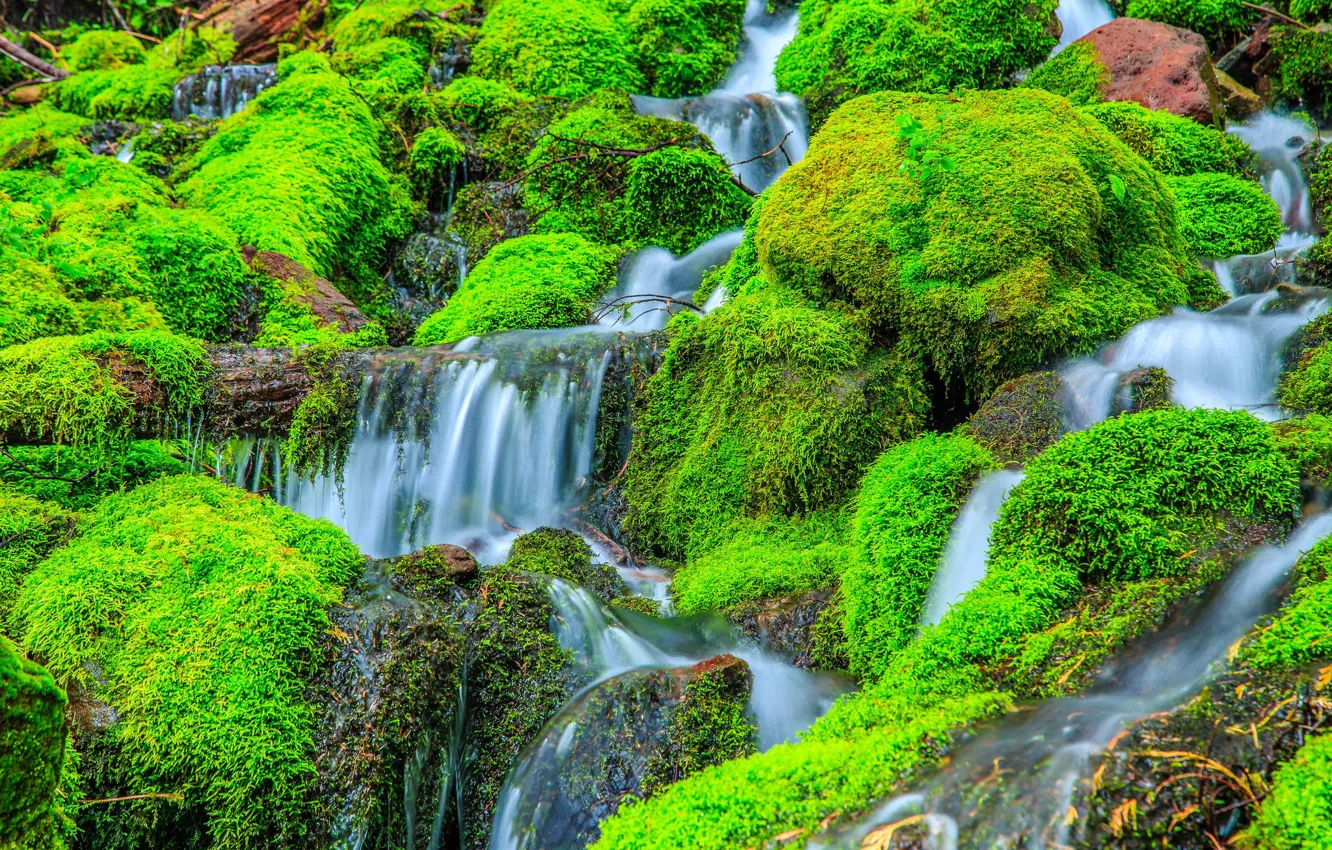 Photo wallpaper stones, rocks, waterfall, stream, plants