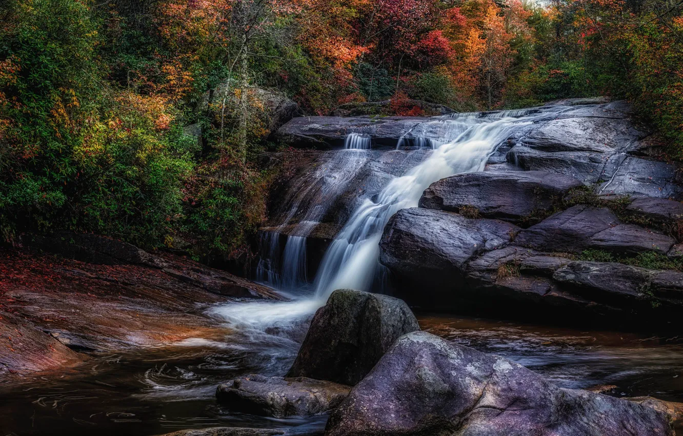 Photo wallpaper forest, rocks, shore, waterfall, stream