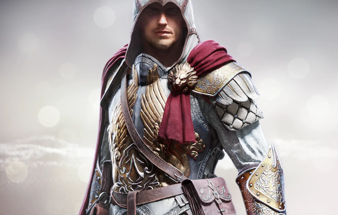 Photo wallpaper look, steel, hood, armor, bag, cloak, bristles, killer