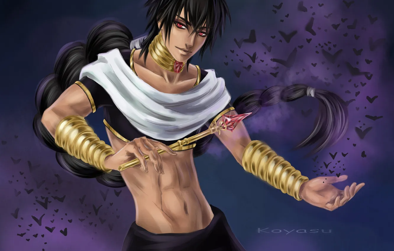 Photo wallpaper bird, anime, art, guy, magi the labyrinth of magic, Koyasu, Judal