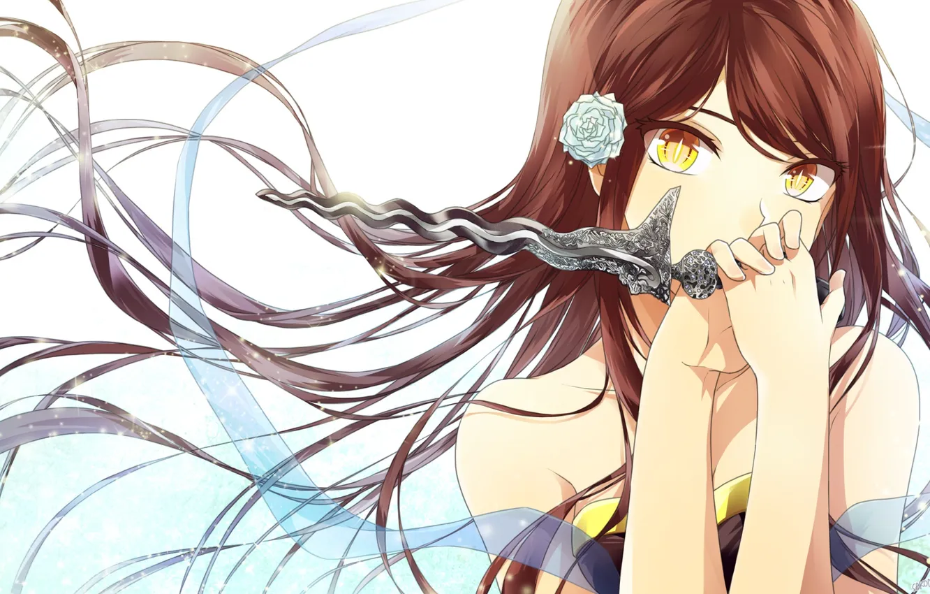 Photo wallpaper girl, flowers, weapons, roses, anime, art, dagger, sakon04