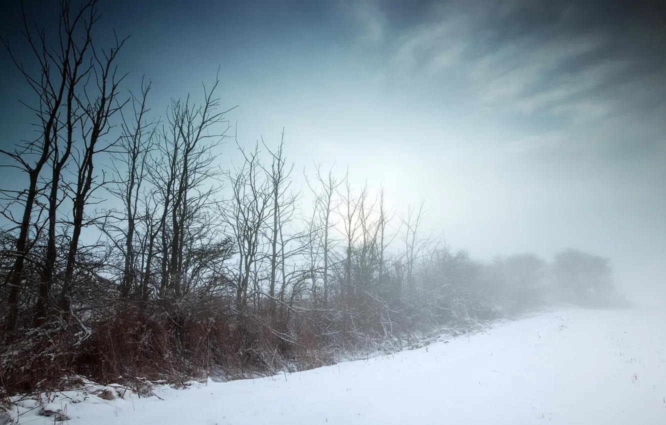 Photo wallpaper winter, field, landscape, fog