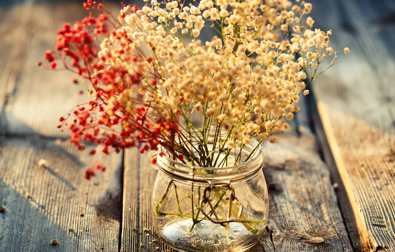 Photo wallpaper leaves, flowers, background, widescreen, Wallpaper, plant, jars, vase