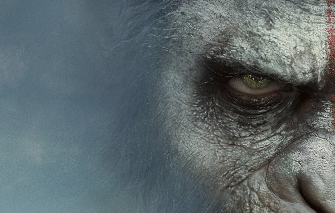 Photo wallpaper Movie, Dawn Of The Planet Of The Apes, Dawn Of The Planet Of The Apes