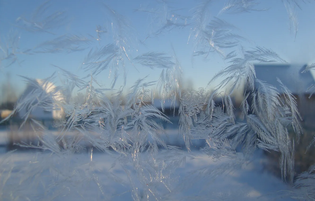 Photo wallpaper ice, glass, pattern, frost