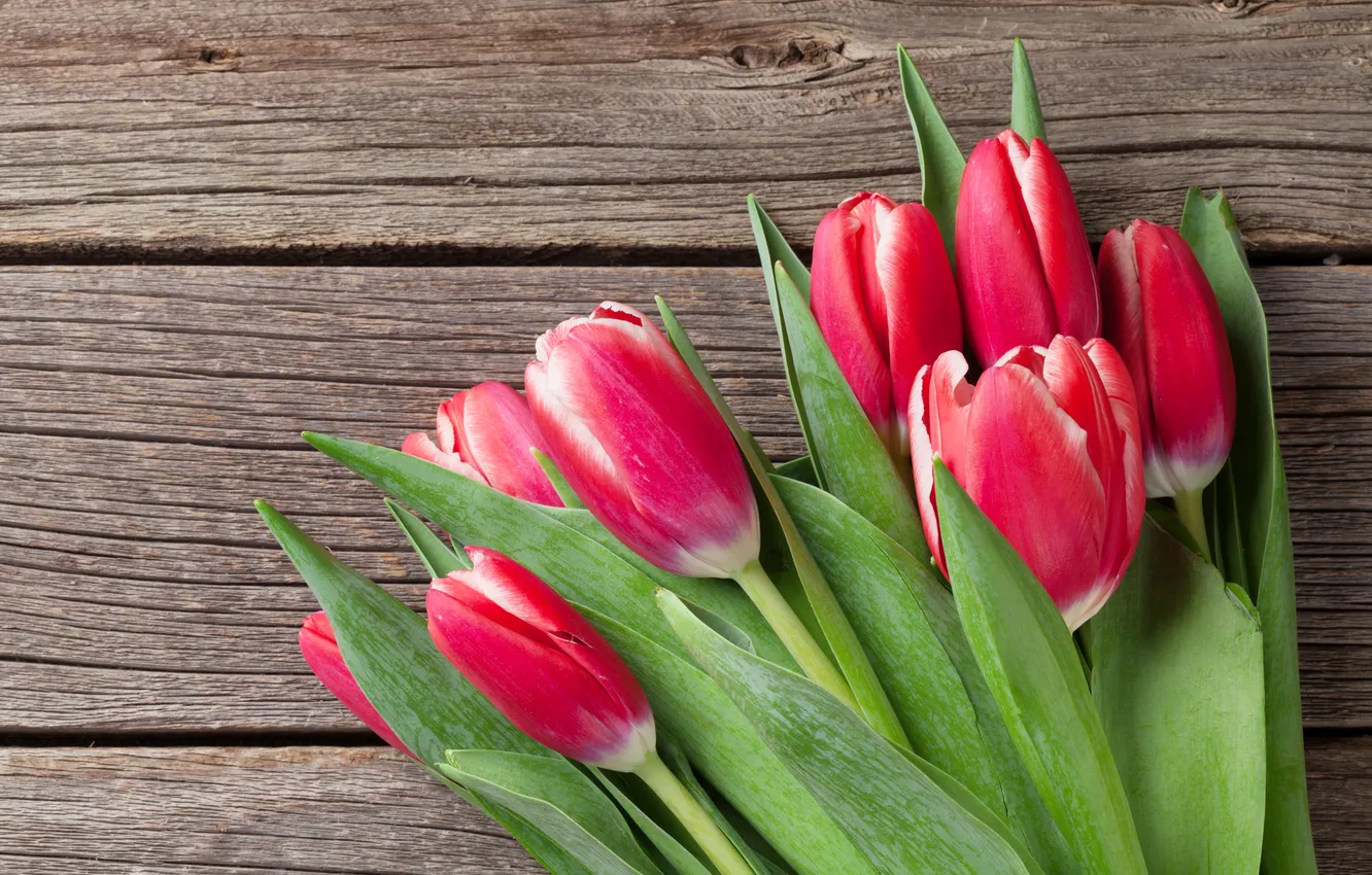 Photo wallpaper flowers, bouquet, tulips, red, red, wood, flowers, romantic