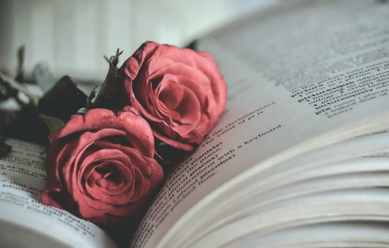 Photo wallpaper flowers, roses, book
