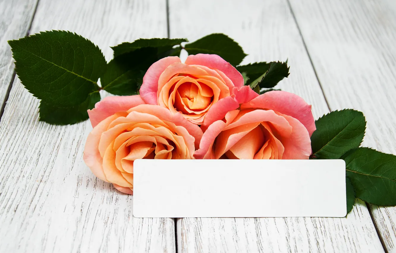 Photo wallpaper flowers, roses, bouquet, pink, wood, pink, roses