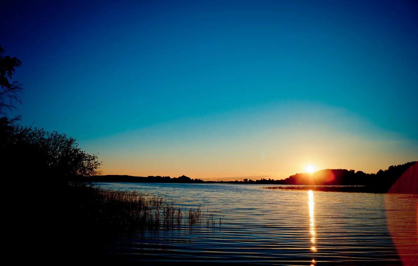 Photo wallpaper wave, forest, water, the sun, rays, light, sunset, lake