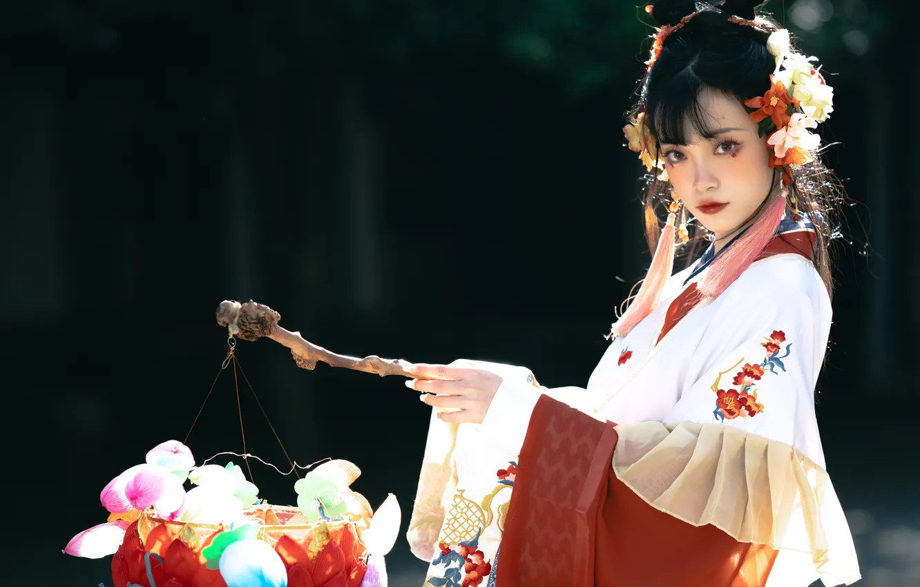 Photo wallpaper look, girl, makeup, lights, costume, China, Asian