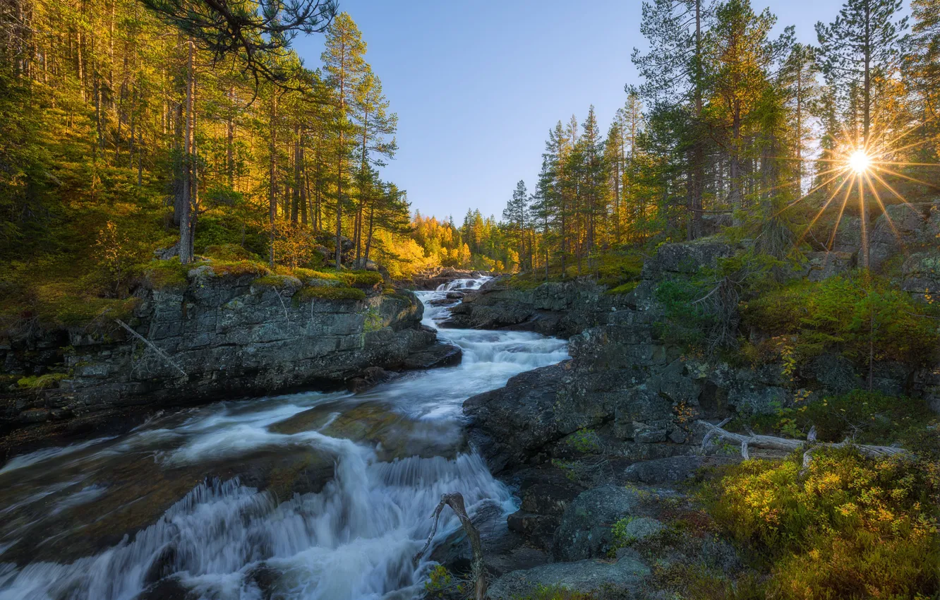 Photo wallpaper autumn, forest, trees, stream, stones, for, Norway, the rays of the sun
