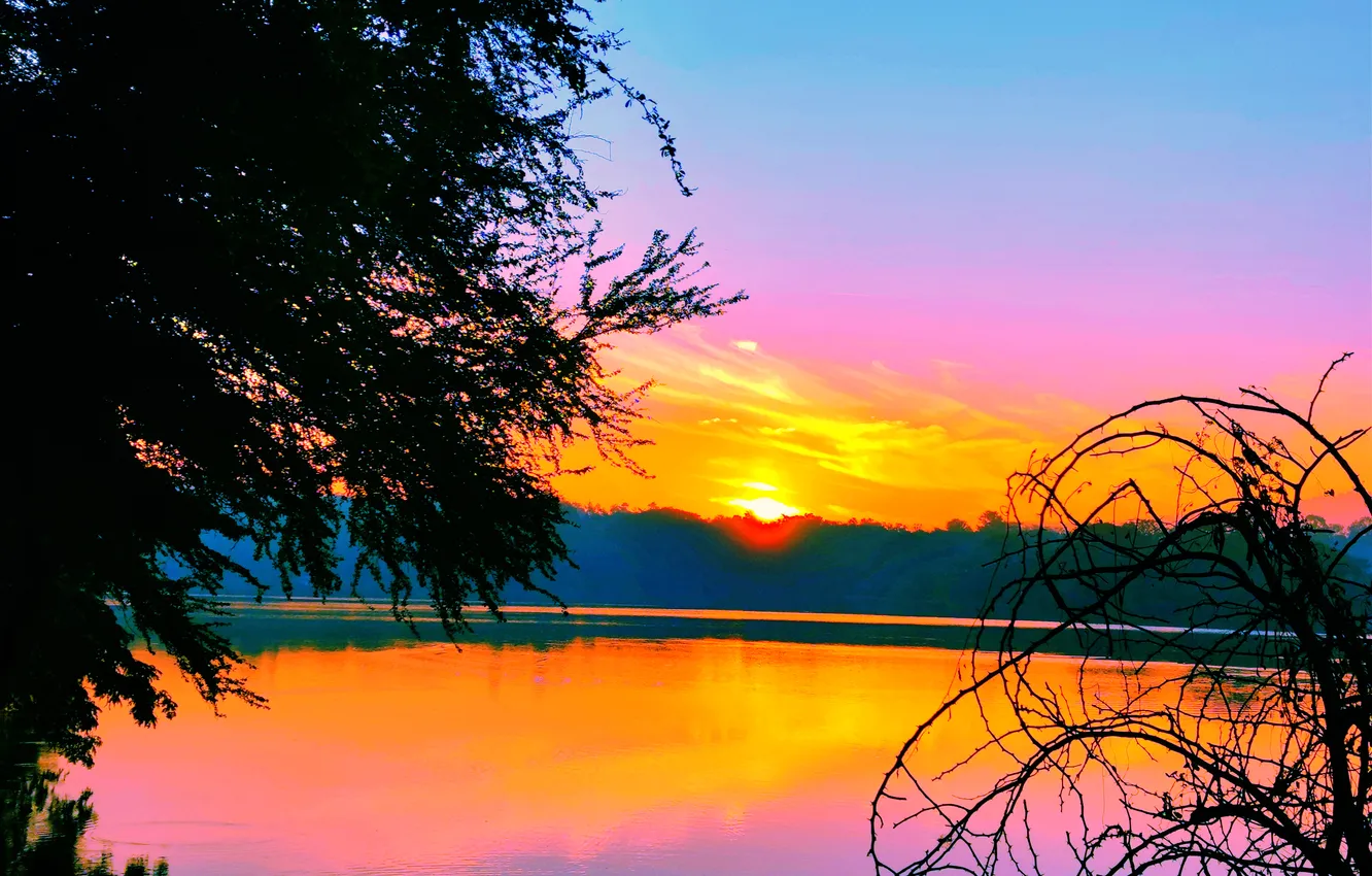 Photo wallpaper Sky, Sun, Water, Sunrise, Dawn, Morning, Lake, Trees