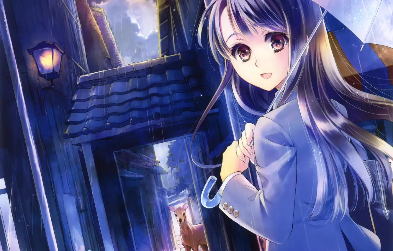 Photo wallpaper the sky, girl, clouds, the city, rain, animal, home, umbrella