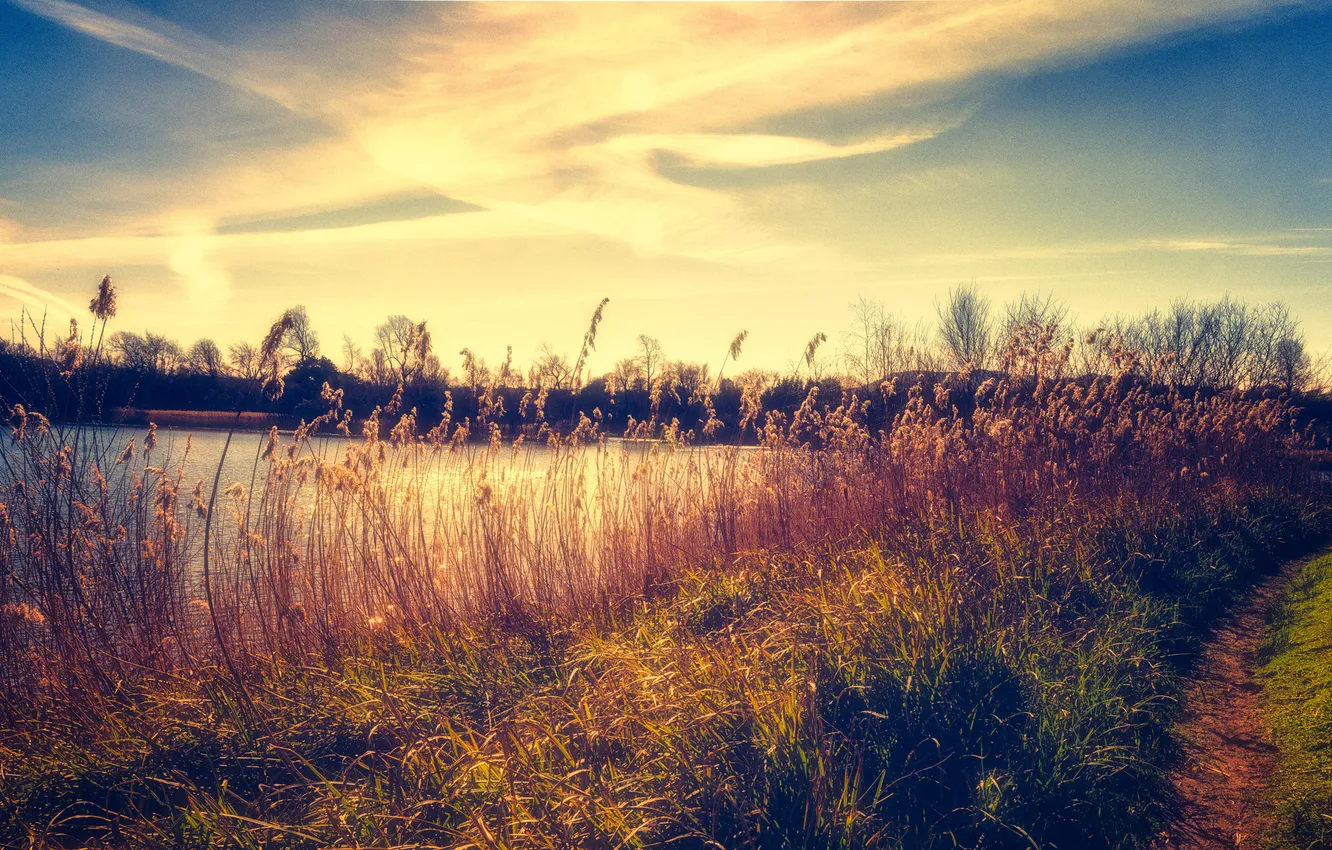 Photo wallpaper the sky, grass, the sun, clouds, lake, the bushes