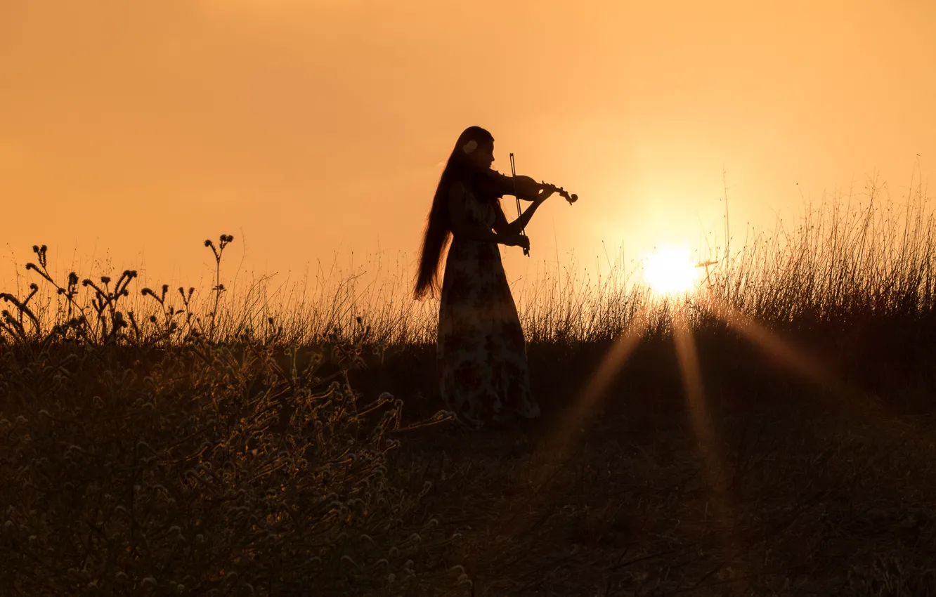 Photo wallpaper field, grass, girl, sunset, mood, violin, the evening, dress