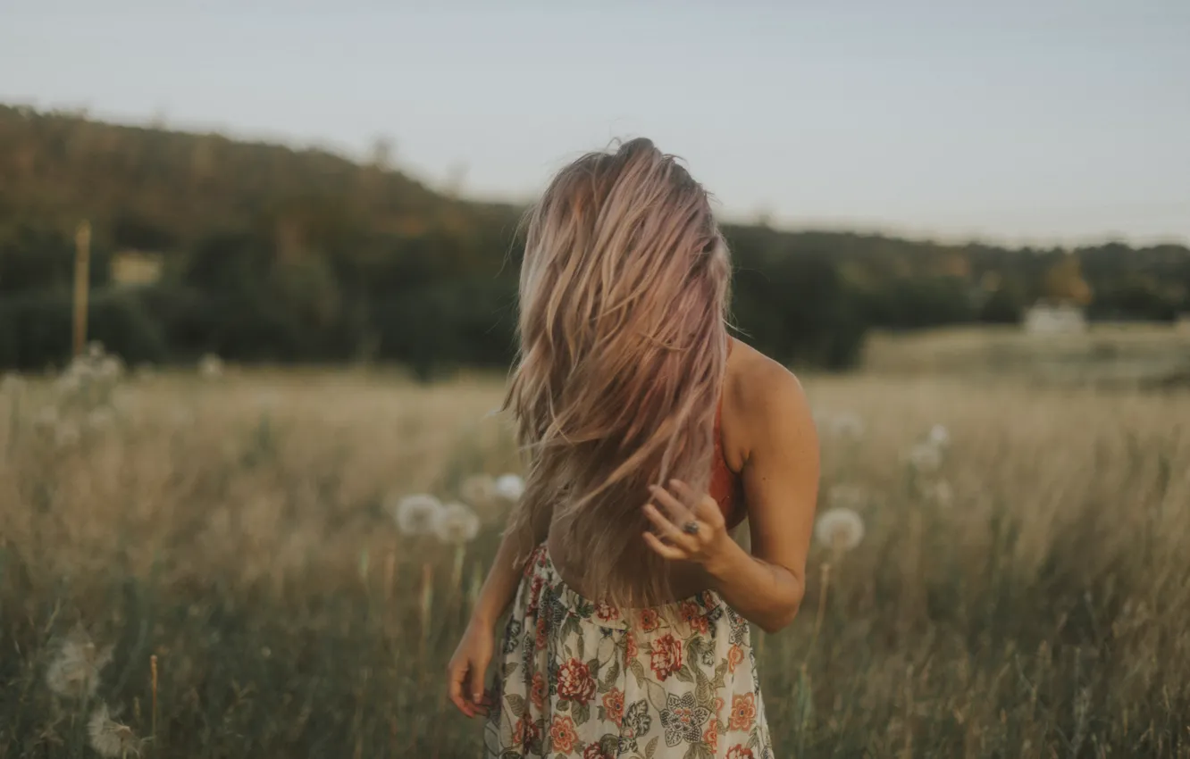 Photo wallpaper field, girl, dandelion
