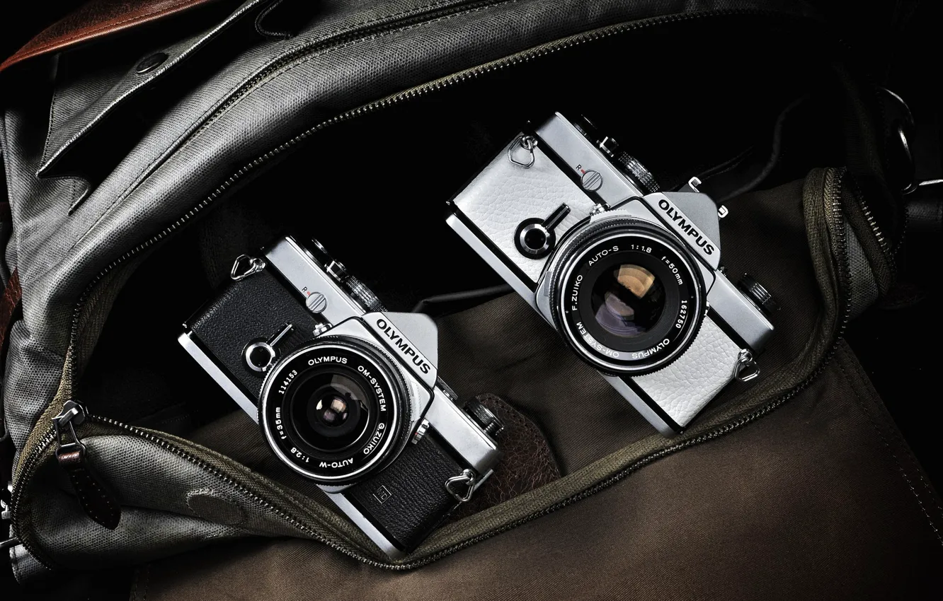 Photo wallpaper macro, background, camera