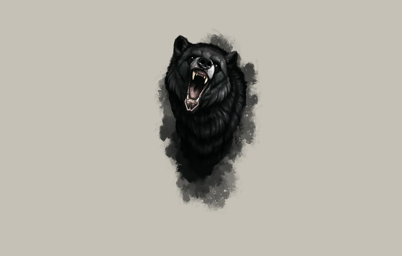 Photo wallpaper bear, mouth, fangs