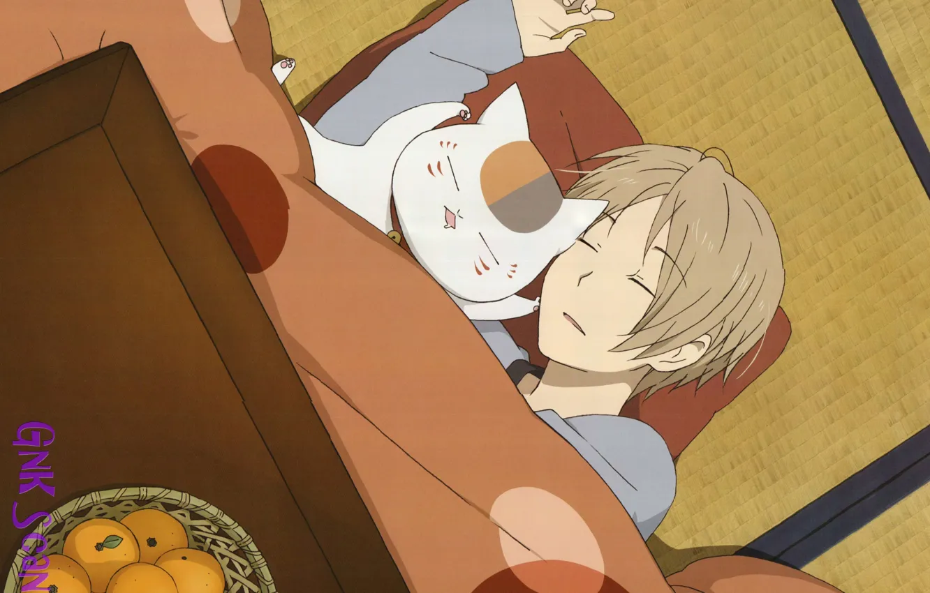 Photo wallpaper cat, sleep, blanket, guy, art, tangerines, kotatsu, tatami