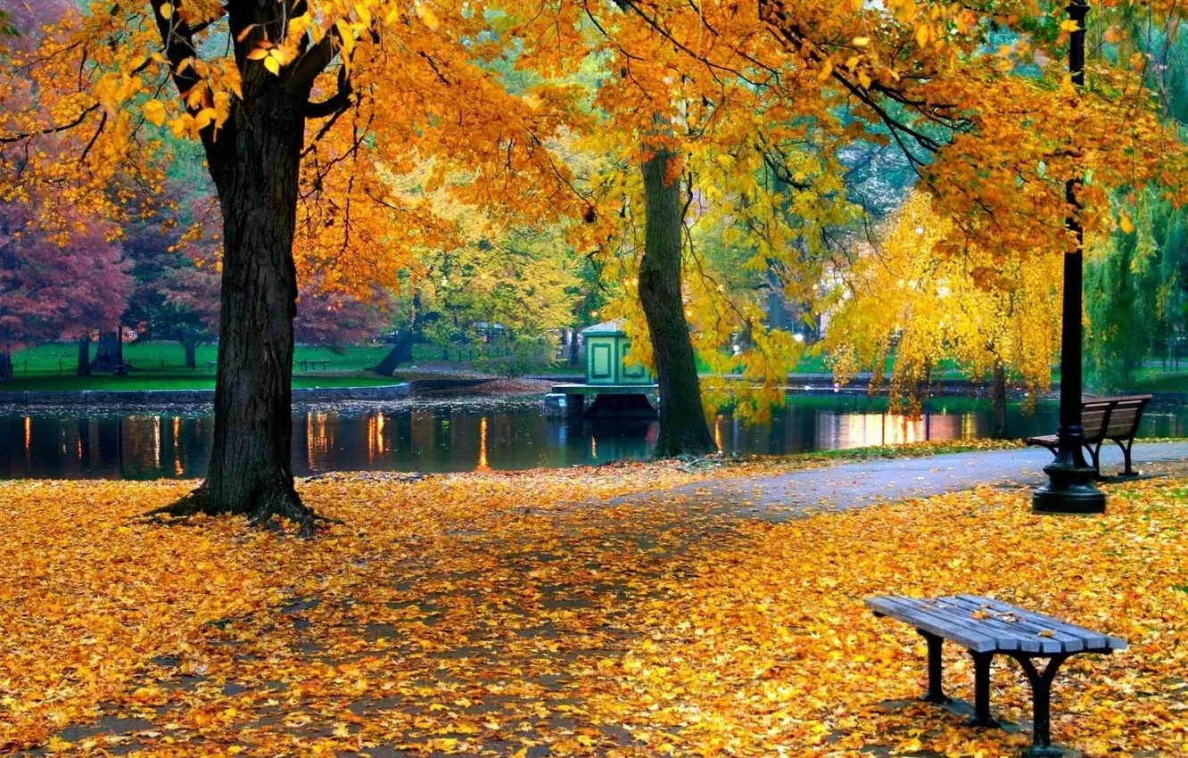 Photo wallpaper autumn, trees, nature, pond, Park, foliage
