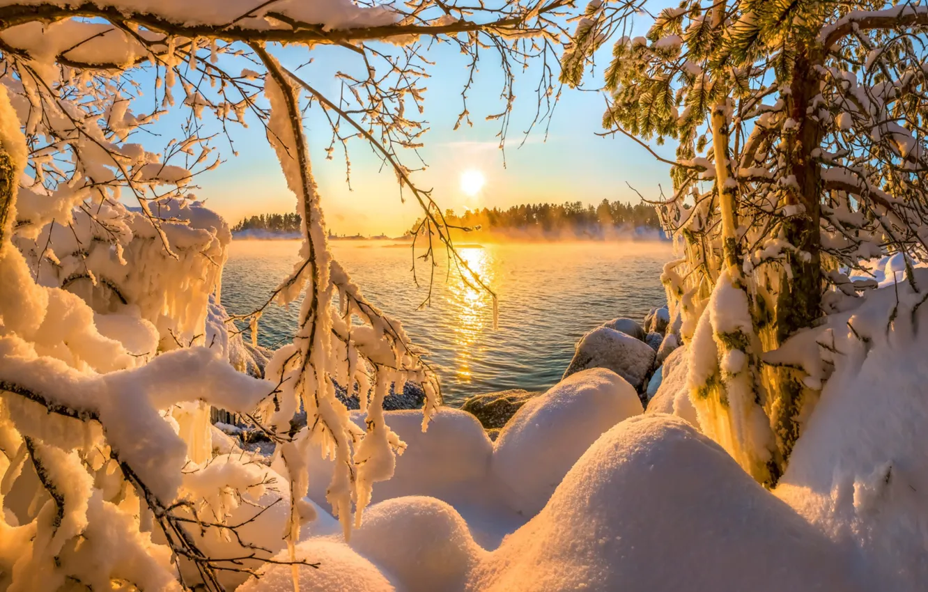 Photo wallpaper water, the sun, snow, trees, branches