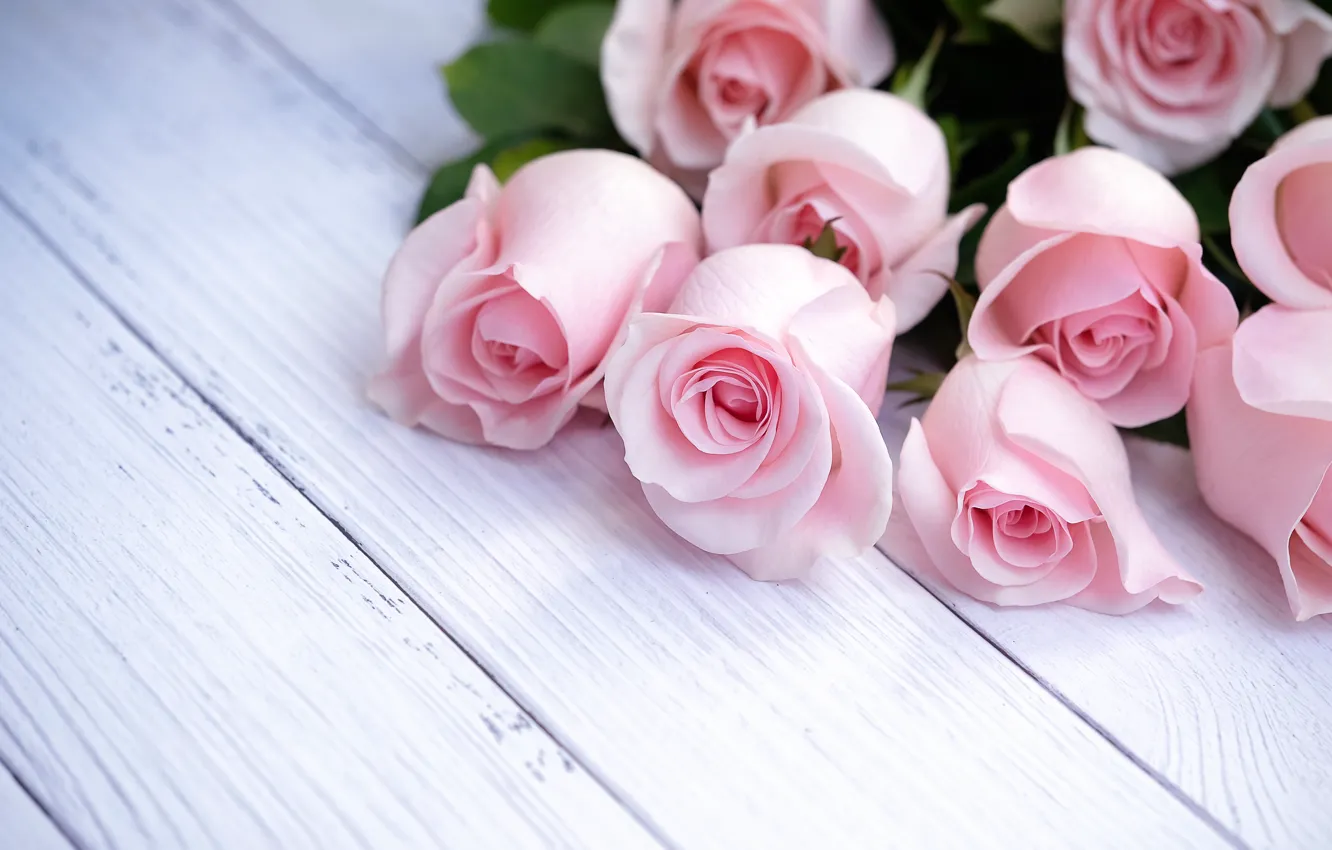 Photo wallpaper flowers, roses, bouquet, pink, wood, pink, flowers, beautiful