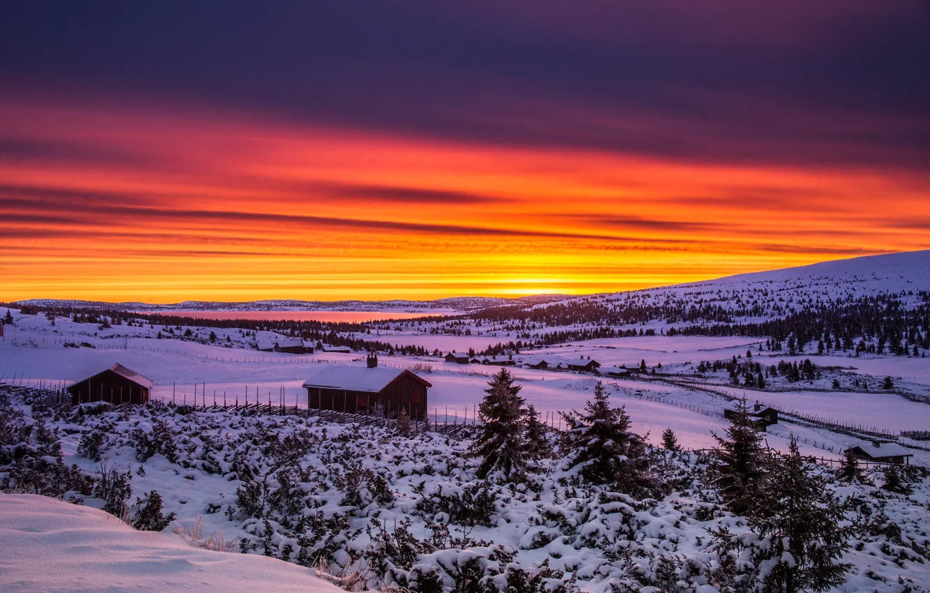 Photo wallpaper winter, snow, trees, landscape, house, dawn