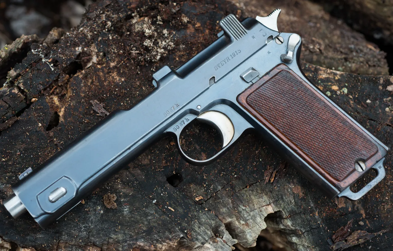 Photo wallpaper 1915, self-loading pistol, Austria-Hungary, Steyr Hahn