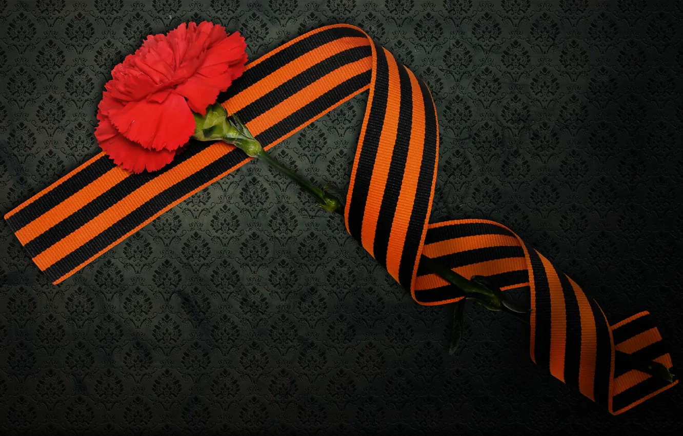 Photo wallpaper May 9, victory day, St. George ribbon, carnation
