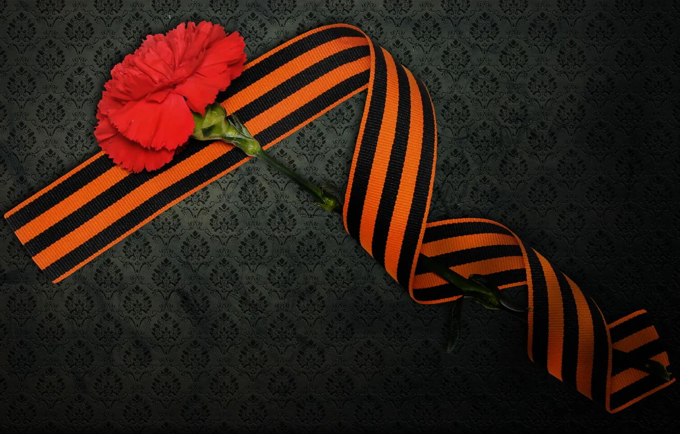 Photo wallpaper May 9, victory day, St. George ribbon, clove