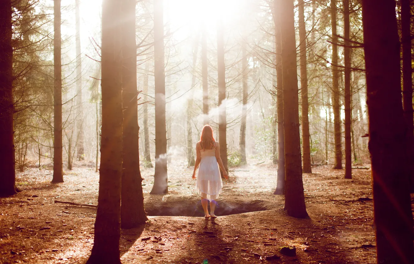 Photo wallpaper forest, girl, trees, smoke, brown hair
