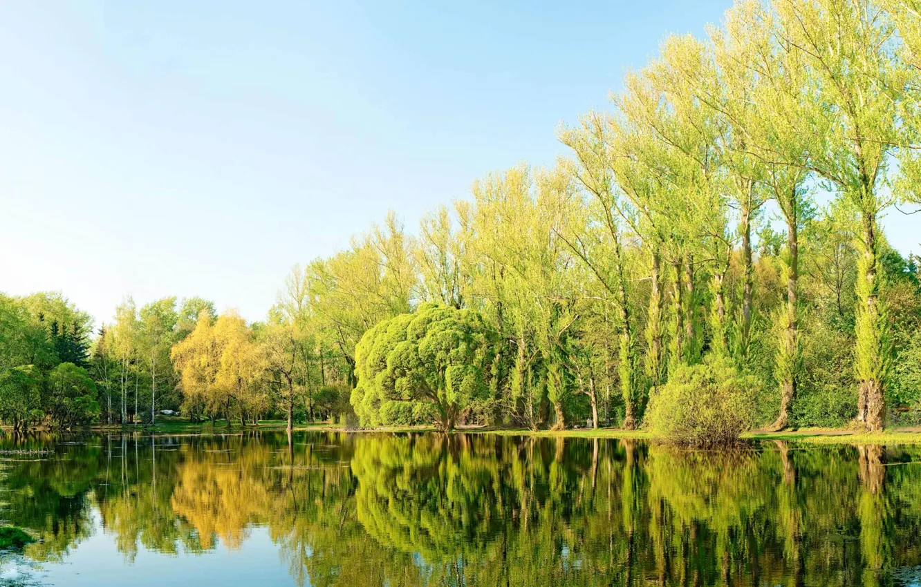 Photo wallpaper trees, nature, lake, pond, Wallpaper, wallpaper
