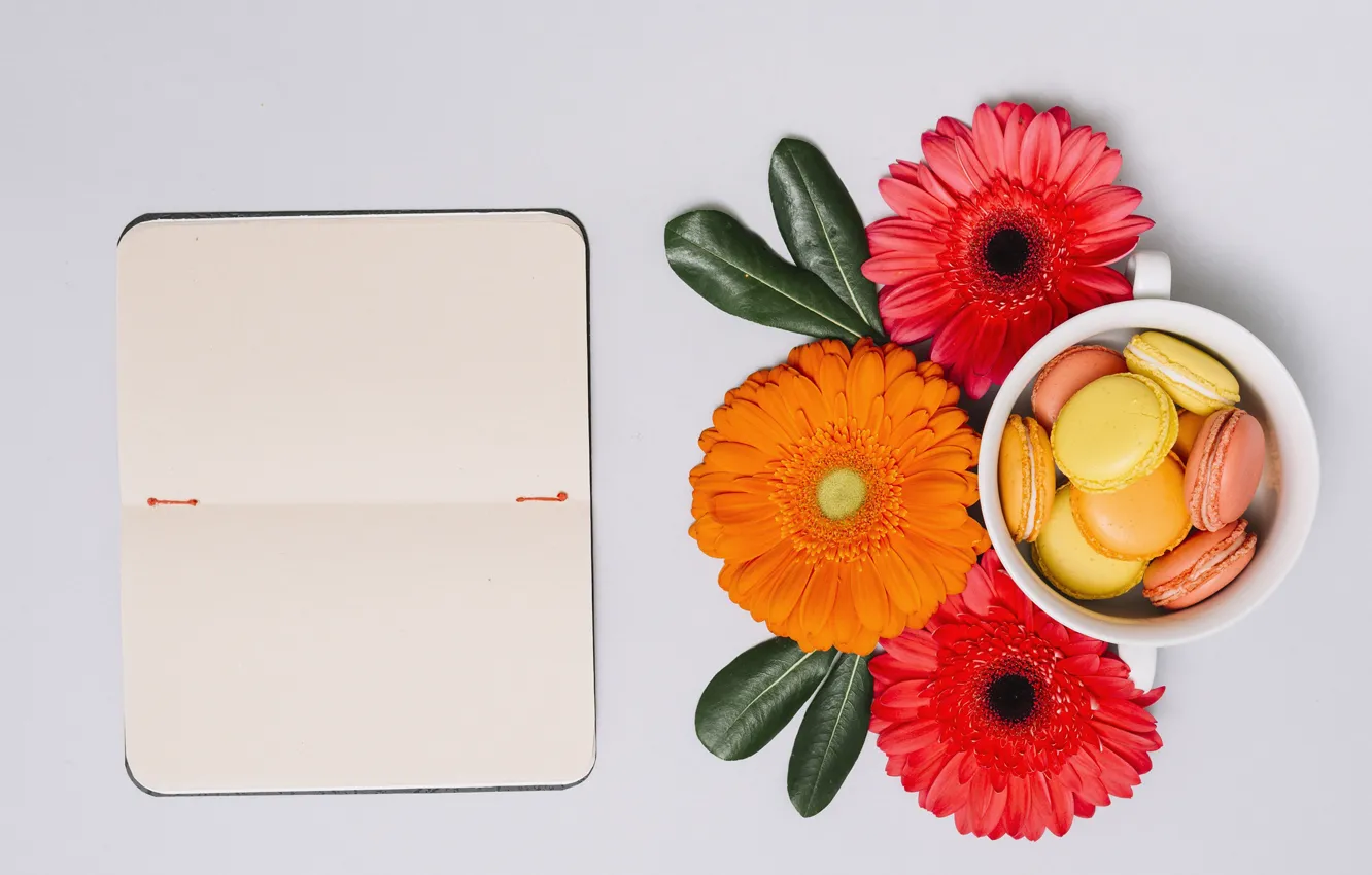 Photo wallpaper cookies, Notepad, gerbera, macaron