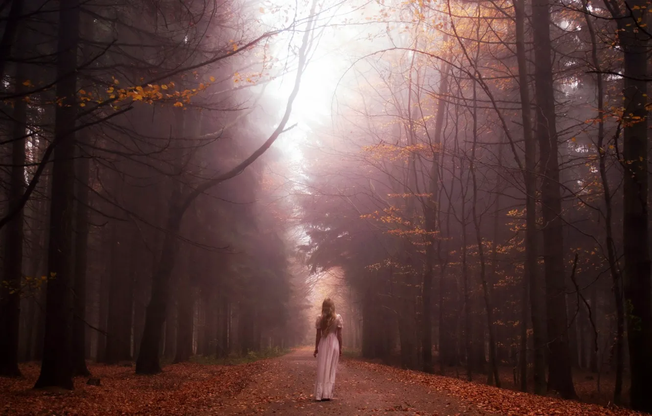 Photo wallpaper road, autumn, forest, leaves, trees, fog, mood, foliage
