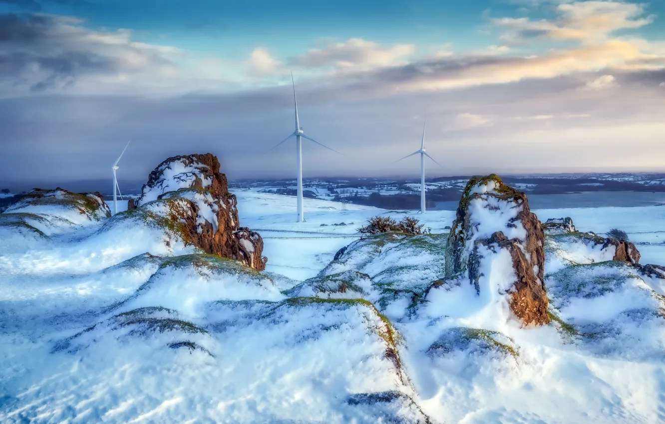 Photo wallpaper winter, field, windmills